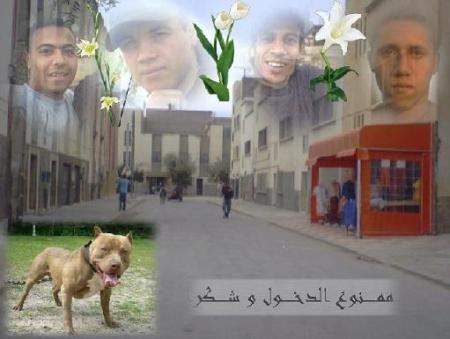 salama 3alikom